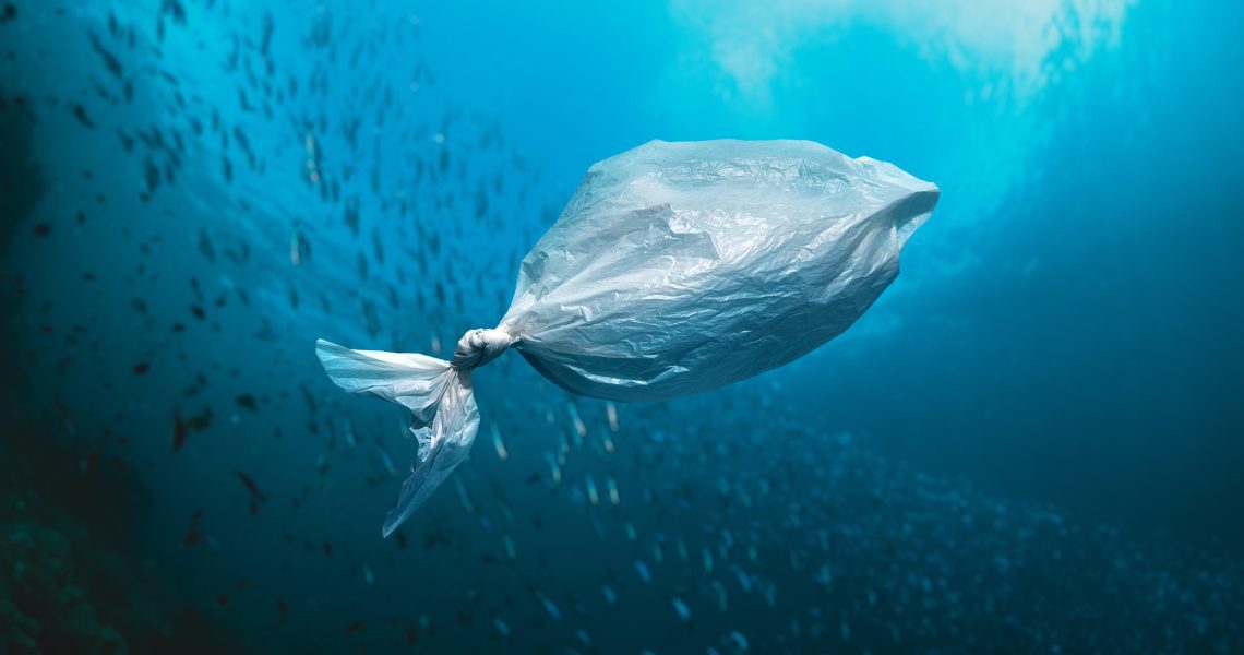 Especialistas debatem “Tratado Global para o Combate da Poluição Plástica e as oportunidades para a indústria”